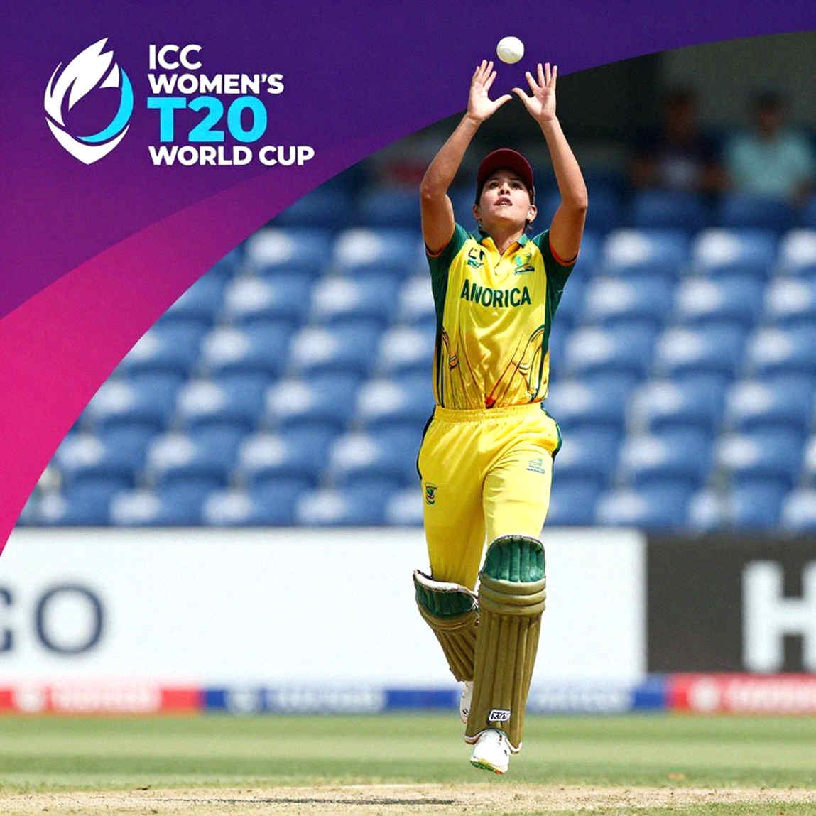 গালফের ক্রিকেট আর্কাইভ: প্রবাসী ফ্যান্ডম, নীরবতা আর একটি ঘাসের মাঠের গল্প
