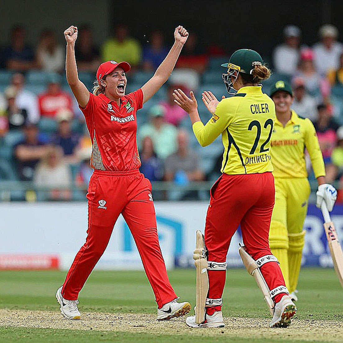 The Chain of Verification: Cricket Data, Empty Inputs, and the Trap of Blind Belief The Chain of Verification: Cricket Data, Empty Inputs, and the Trap of Blind Belief