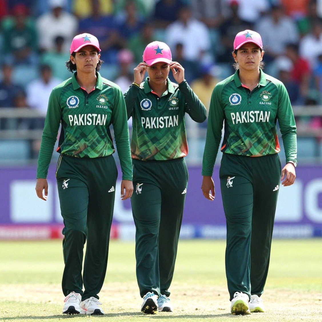 Blockchain and Cricket Data Integrity: When an Empty Input Poses as a Perfect Analysis